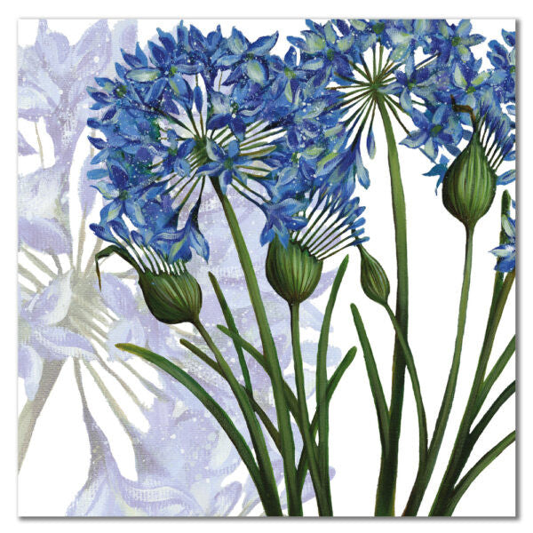 Agapanthus Greetings Card by Emma Ball.