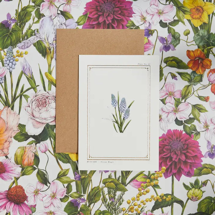 Muscari - 'Botanical Archive: Everyday Edition' - card