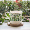 Small Snowdrop Mug by Emma Bridgewater.