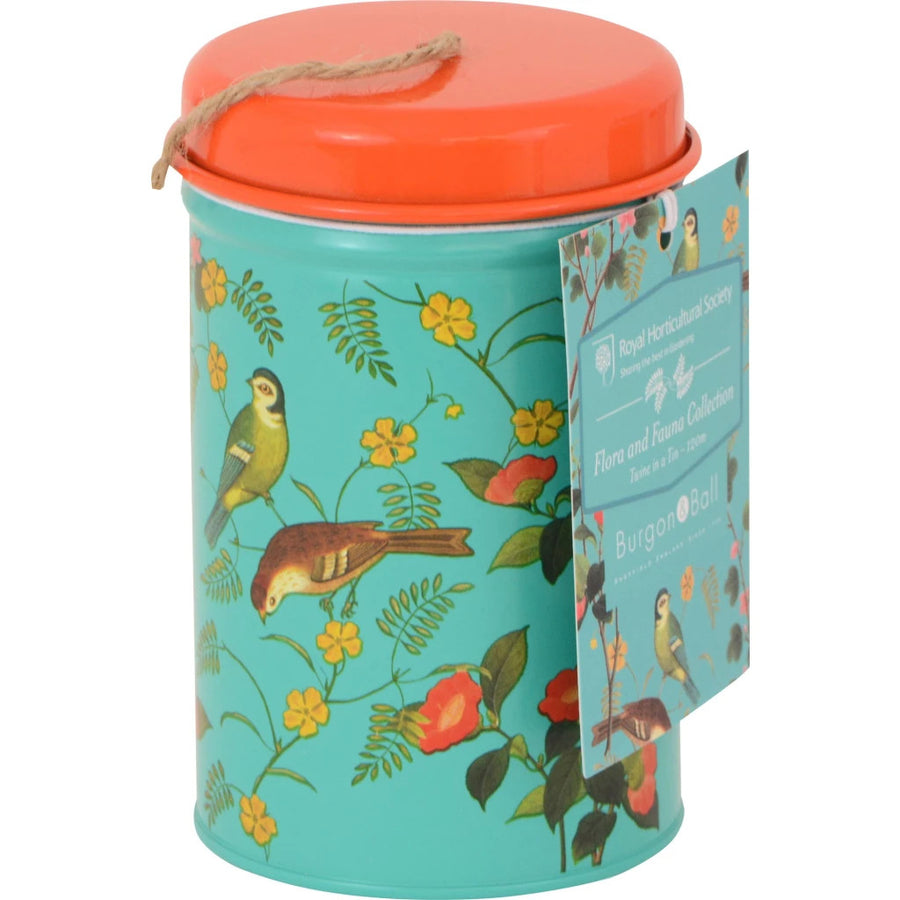 RHS Flora & Fauna Twine in a Tin by Burgon & Ball.