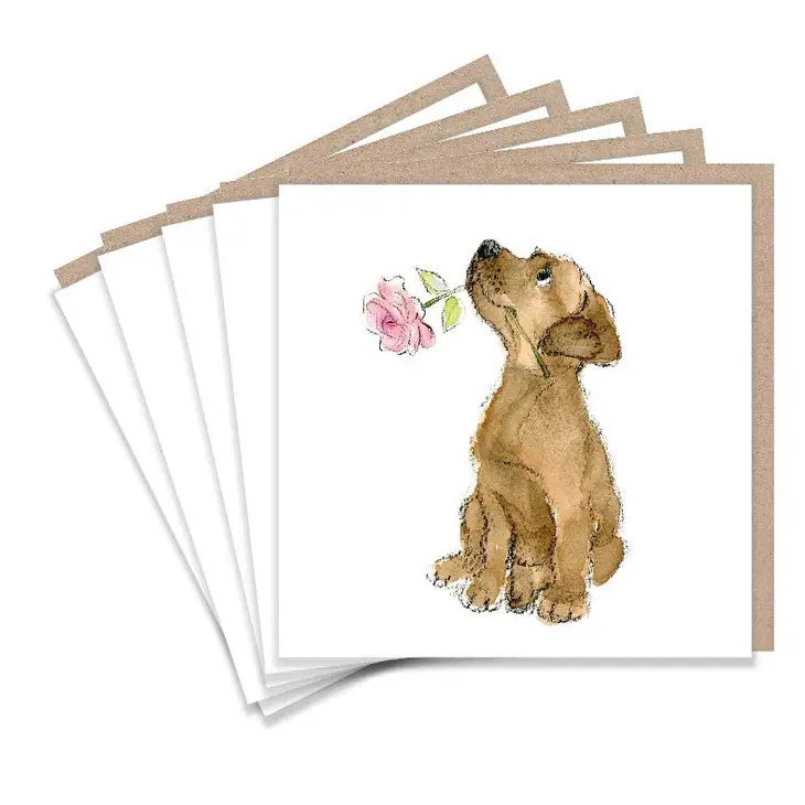 Labrador Set of 5 Notecards by Paper Shed Designs