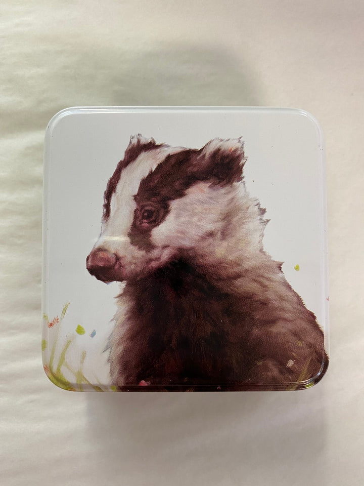 Jo Stockdale Countryside Friends Small Square Tins. Badger