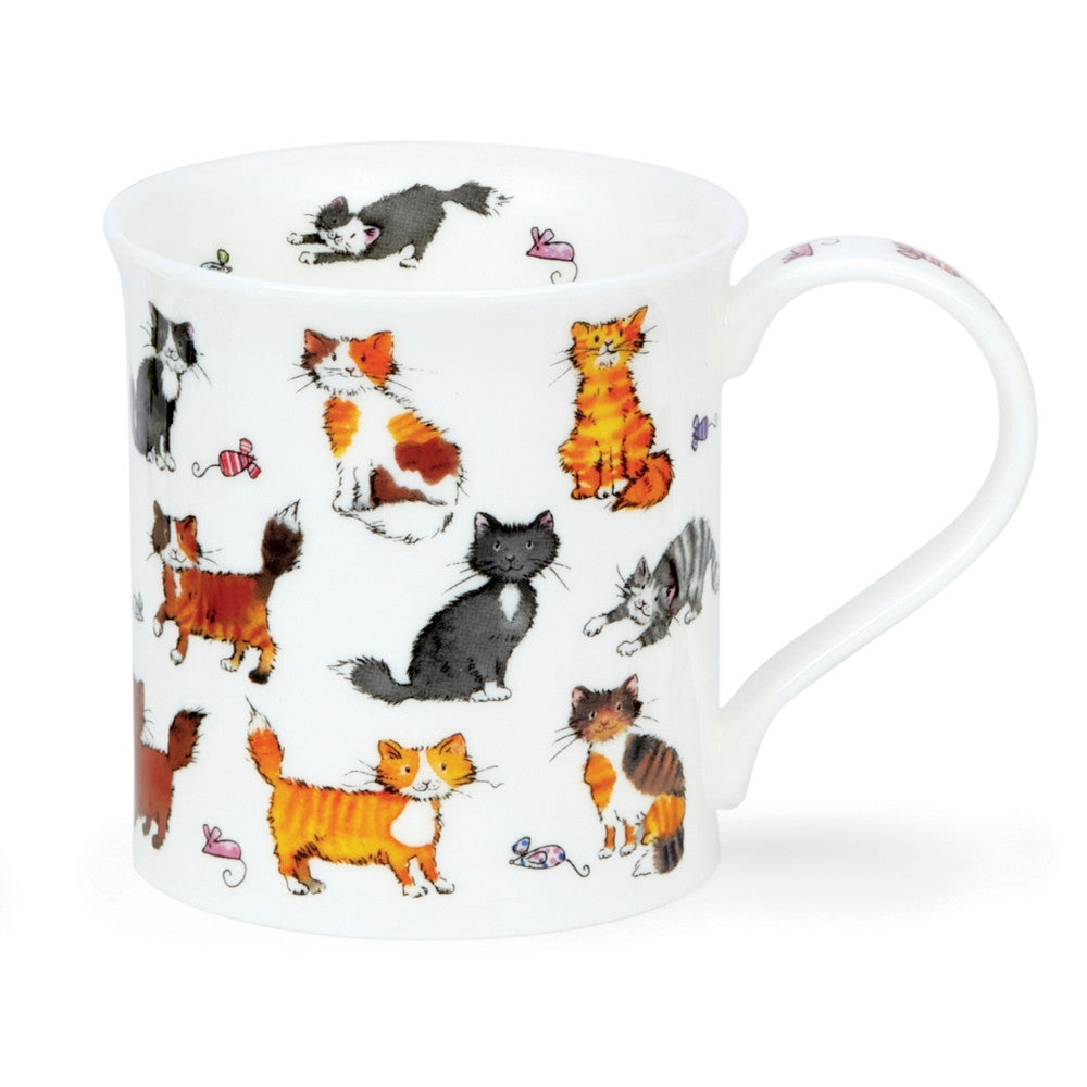 Dunoon bone china Bute Cute Kittens Mug. Handmade in England.