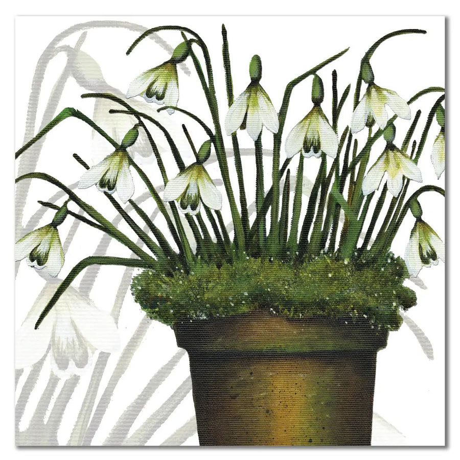 Snow Drops Greetings Card by Caroline Cleave for  Emma Ball.