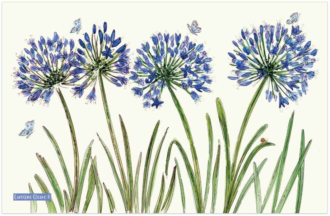 Agapanthus 100% cotton tea towel from Emma Ball.
