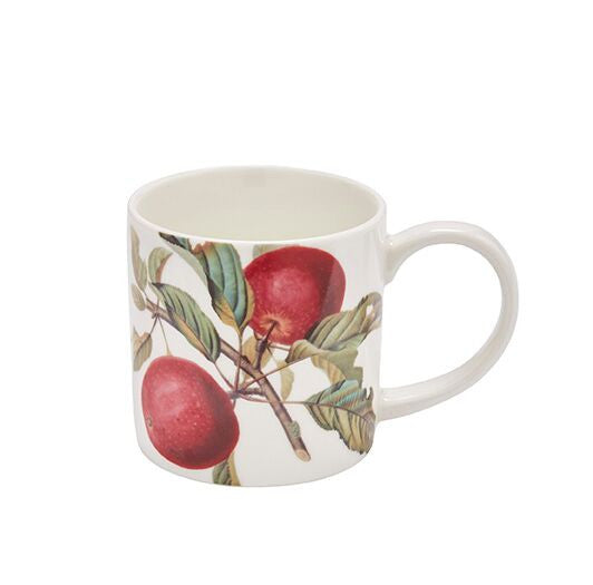 Ulster Weavers RHS Fruits mug.