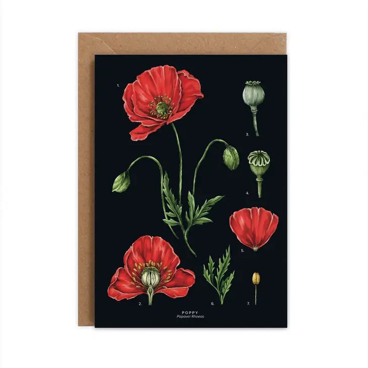 Poppy Greeting Card