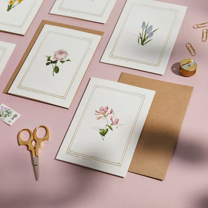 Honeysuckle - 'Botanical Archive: Everyday Edition' - card