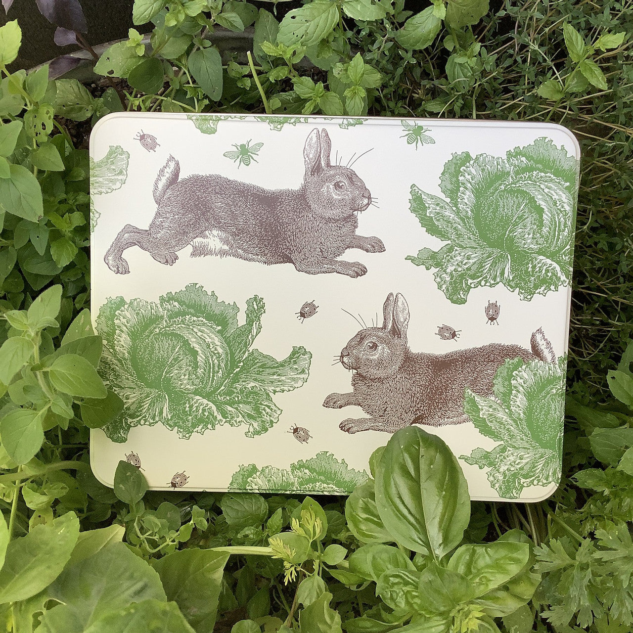 Rabbit & Cabbage Extra Large Rectangular Tin