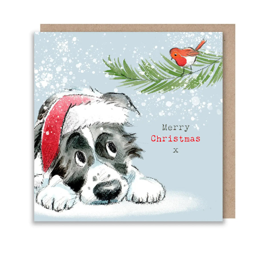 Border Collie Christmas Card