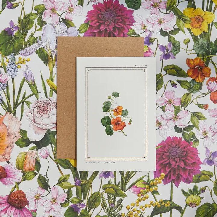 Nasturtium - 'Botanical Archive: Everyday Edition' - card