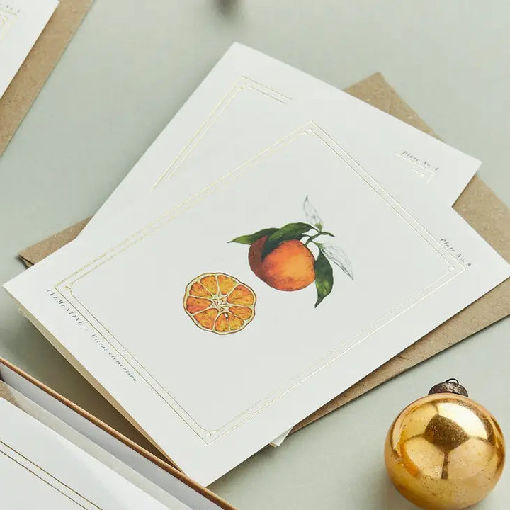 Clementine - 'Botanical Archive: Festive Edition' - card