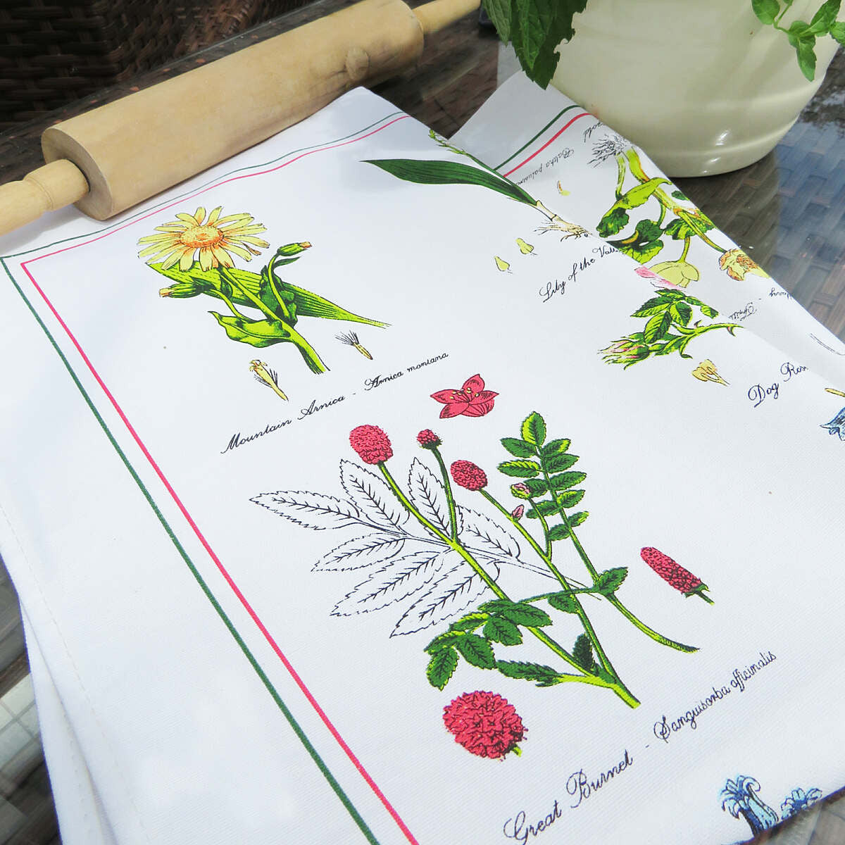 Botanical Garden Cotton Tea Towel by Samuel Lamont.