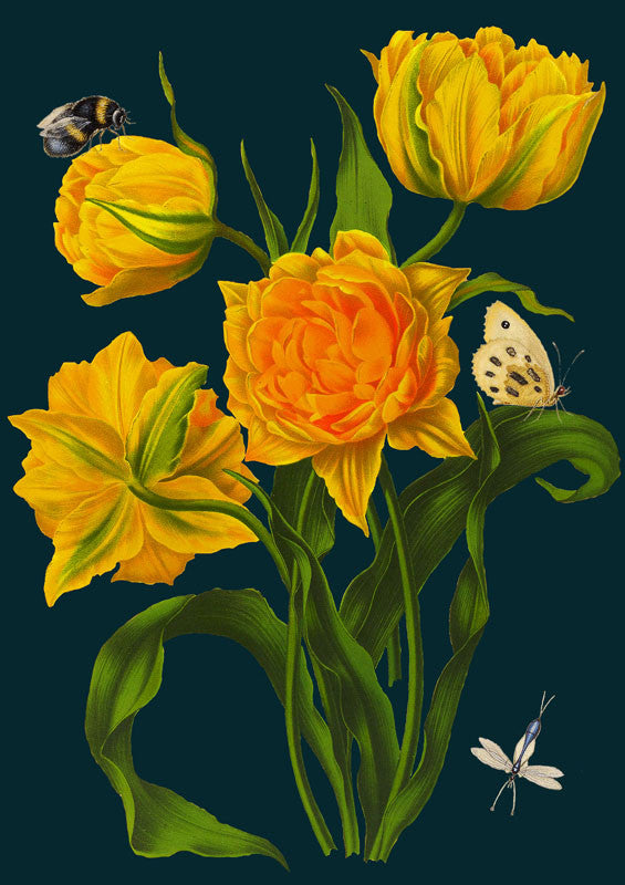 Yellow Tulips Greetings Card by Madame Treacle.