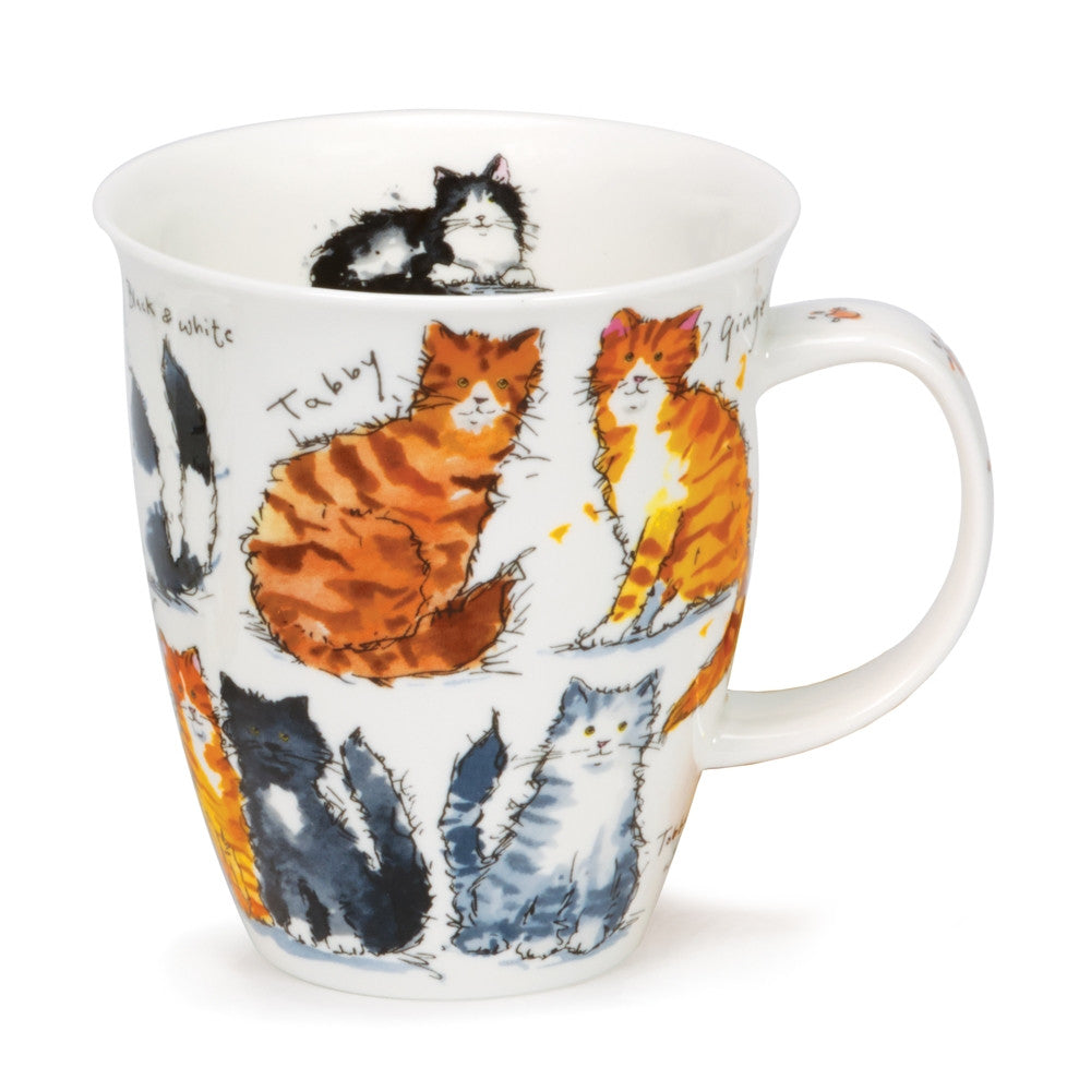 Messy Cats Dunoon bone china mug in the Nevis Shape