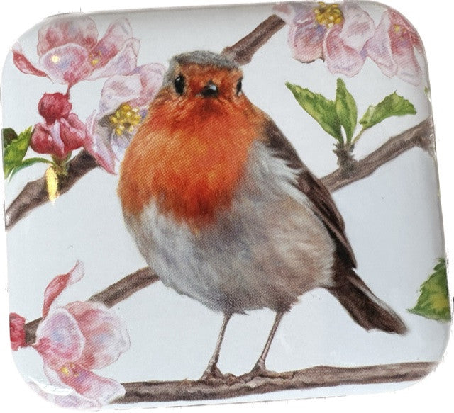 Feathered Friends Pocket Tins - Robin