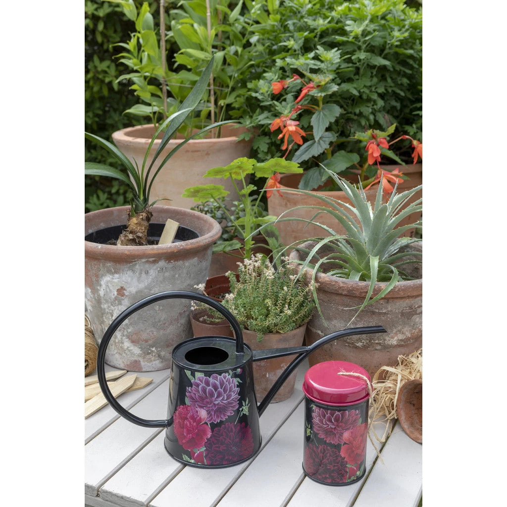 RHS British Bloom Indoor Watering Can by Burgon & Ball.