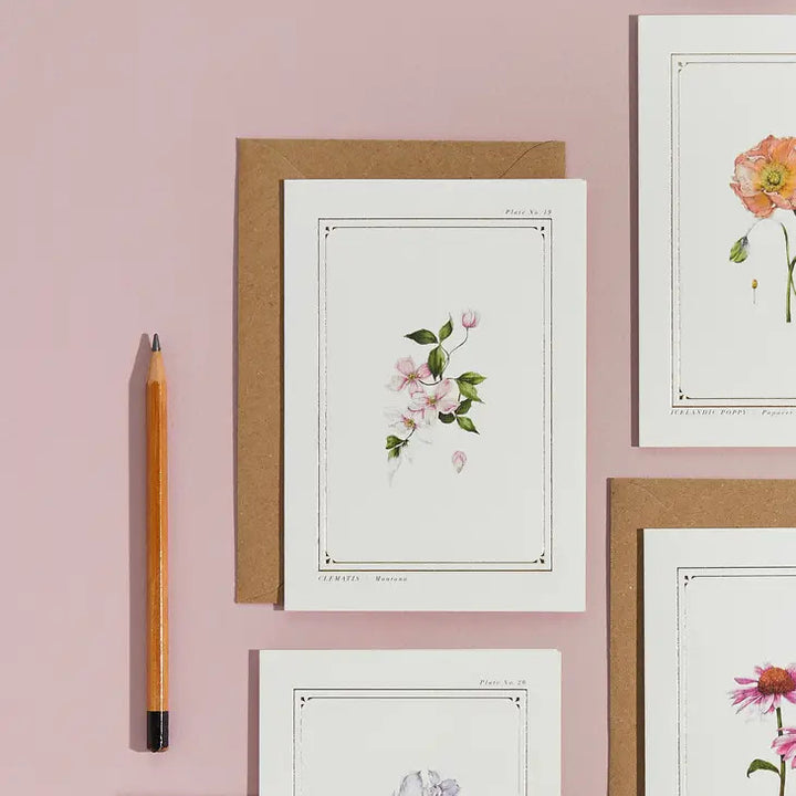 Clematis - 'Botanical Archive: Everyday Edition' - card