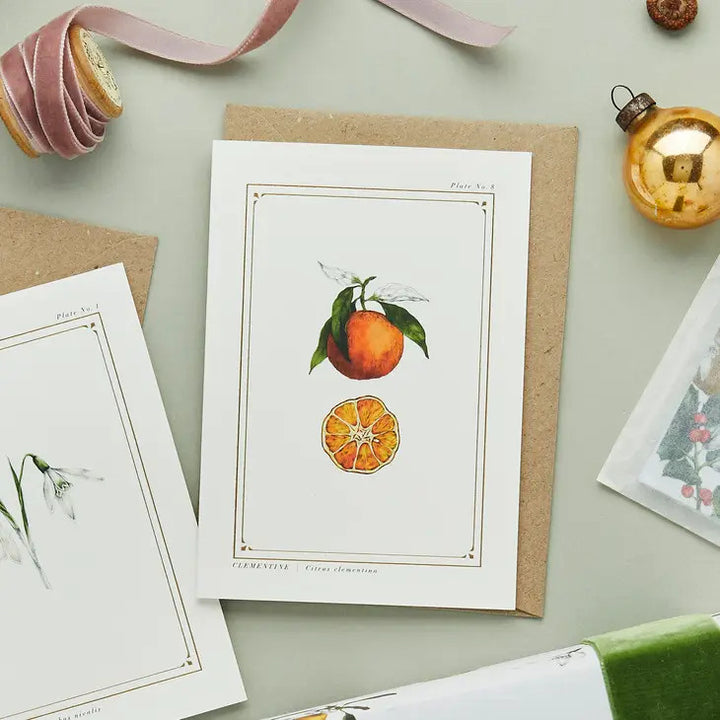 Clementine - 'Botanical Archive: Festive Edition' - card