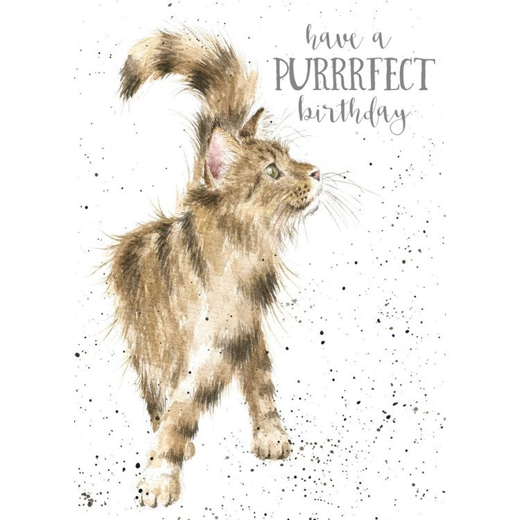 Just Purrfect