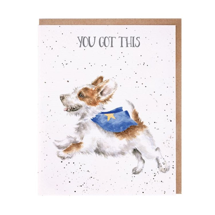 Super Dog - You Got This