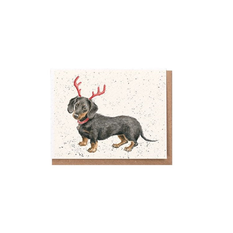 Dachshund through the snow