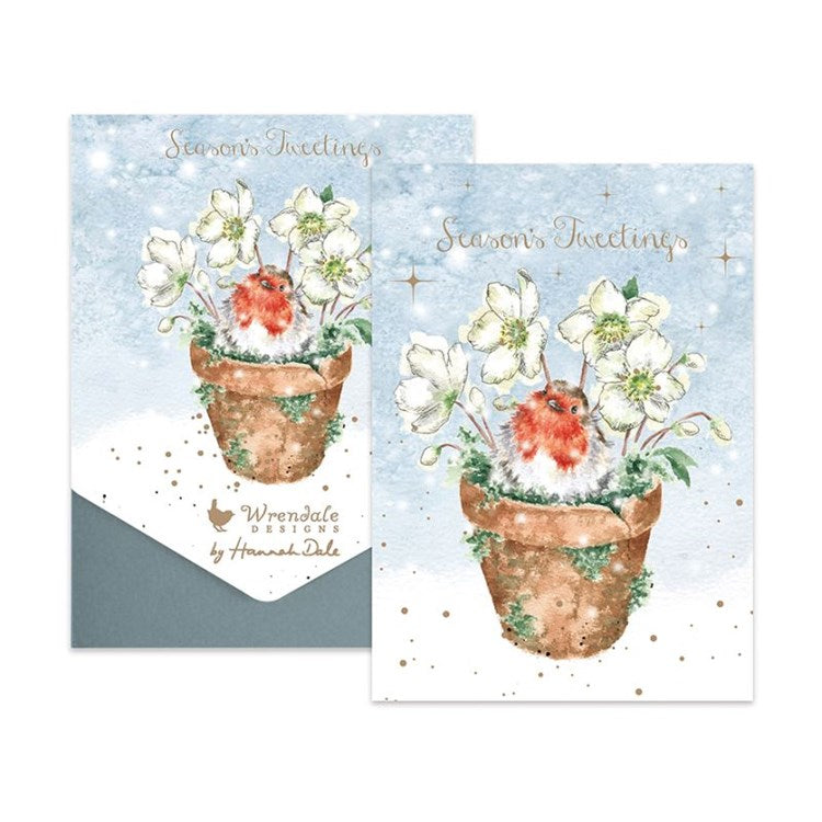 Robin Boxed Cards - Season's Tweetings