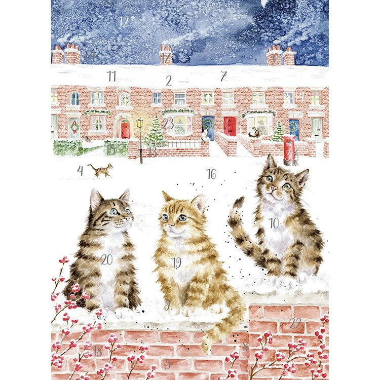 Santa Paws is Coming to Town - Cat